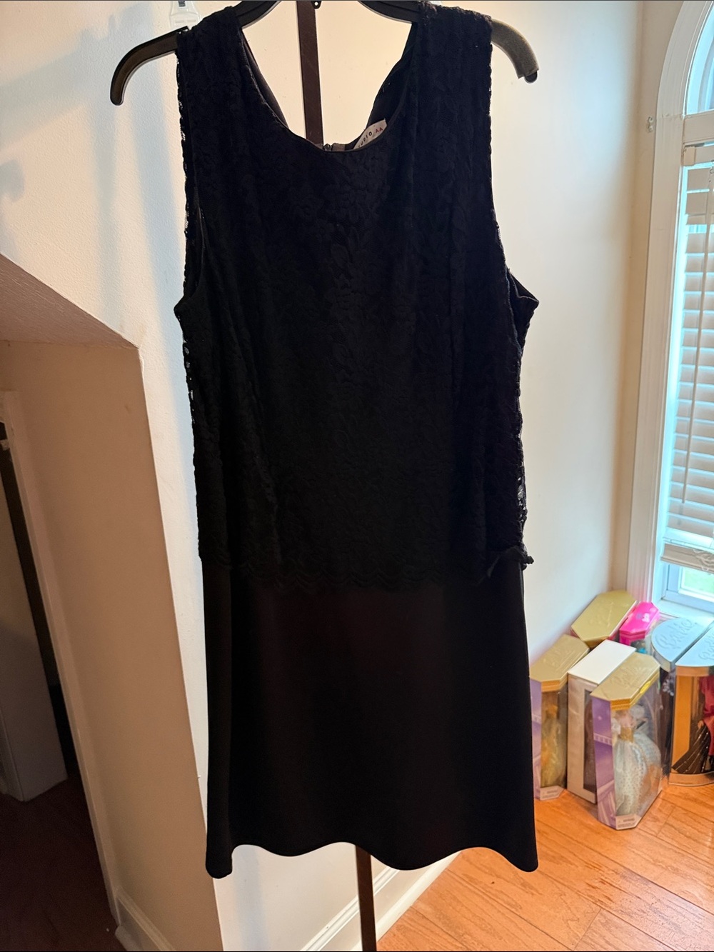 Express Black Sleeveless Lace Overlay Mini Dress